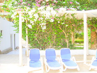 Image showing Chairs for Taking Sun  Baths.