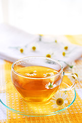 Image showing Camomile tea