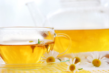 Image showing Camomile tea