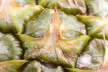 Image showing Close up texture of fresh ripe pineapple background