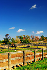 Image showing Rural landscape