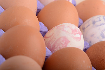 Image showing close up of eggs in cardboard container