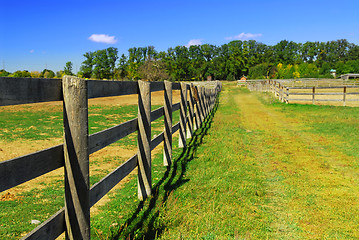 Image showing Rural landscape