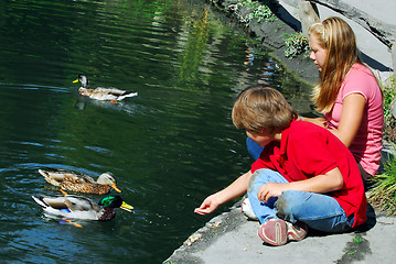 Image showing Children feeding ducks