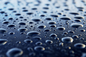 Image showing Water drops background