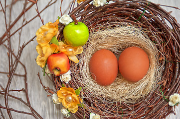 Image showing eggs in nest 