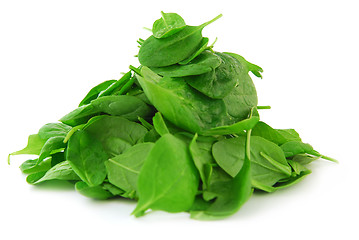 Image showing Spinach