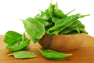 Image showing Spinach
