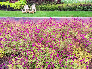 Image showing Garden with purple flowers and wooden chairs