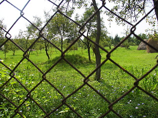 Image showing garden behind the fence