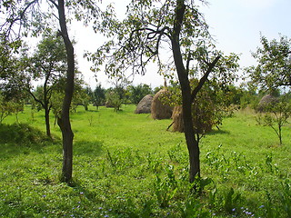 Image showing romanian garden