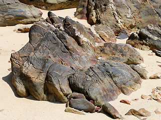 Image showing Rock on the beach  