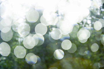 Image showing Glare on a background of green summer foliage