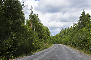 Image showing Country road in beautiful wild summer forest
