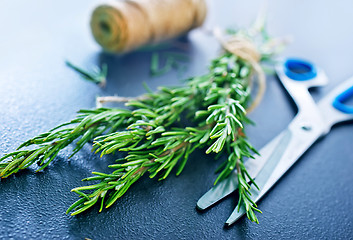 Image showing rosemary