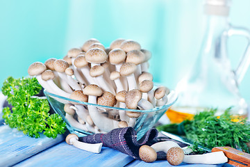 Image showing mushrooms