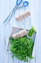 Image showing fresh dill