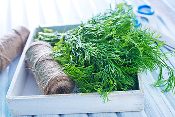 Image showing fresh dill