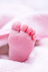 Image showing baby foot