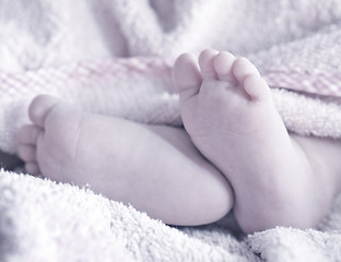 Image showing baby foot