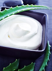 Image showing Aloe Vera with Lotion Box