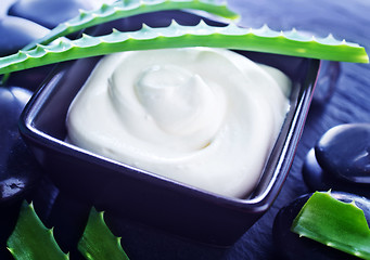 Image showing Aloe Vera with Lotion Box