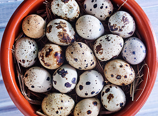 Image showing quail eggs