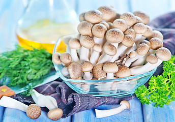 Image showing mushrooms