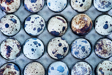 Image showing quail eggs