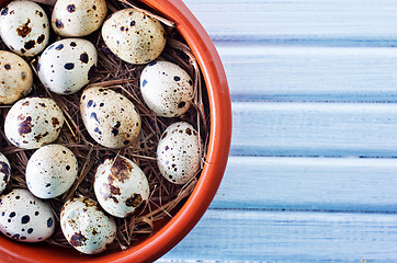 Image showing quail eggs