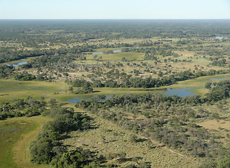 Image showing Okavango Delta