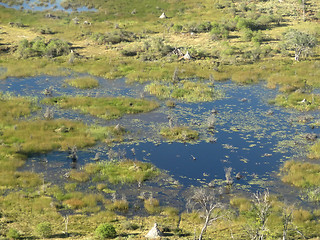 Image showing Okavango Delta