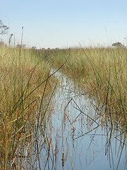 Image showing Okavango Delta