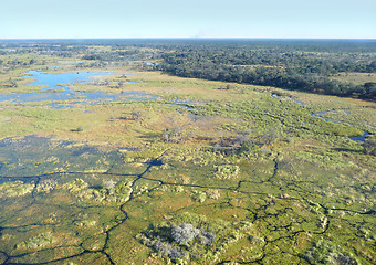 Image showing Okavango Delta