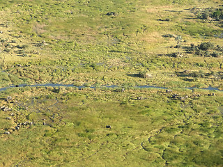 Image showing Okavango Delta