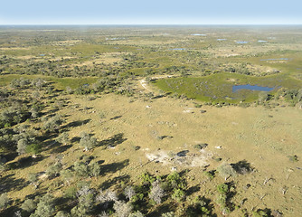 Image showing Okavango Delta