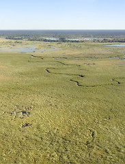 Image showing Okavango Delta