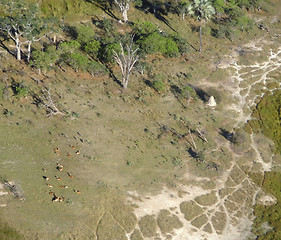 Image showing Okavango Delta