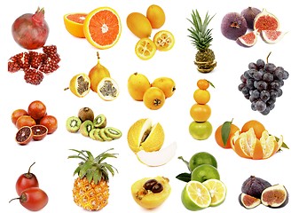 Image showing Tropical Fruits Collection