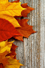 Image showing Frame of Autumn Leafs