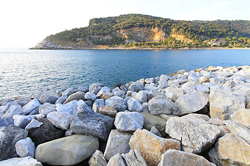 Image showing Palmaria island