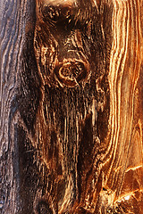 Image showing Wood knot