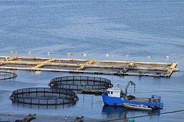 Image showing Boat and nets