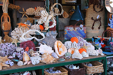 Image showing Coral shop