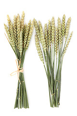 Image showing Wheat Bundles