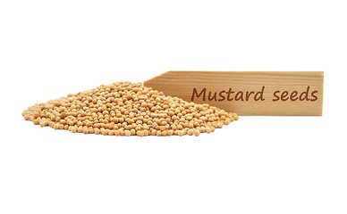 Image showing Mustard seeds at plate