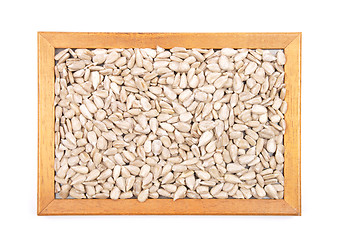 Image showing Sunflower seeds background