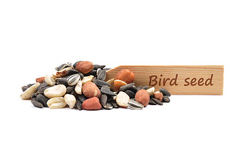 Image showing Bird seed at plate