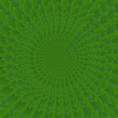 Image showing Green circles from leaves