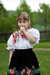 Image showing Little girl in traditional costume with flowers